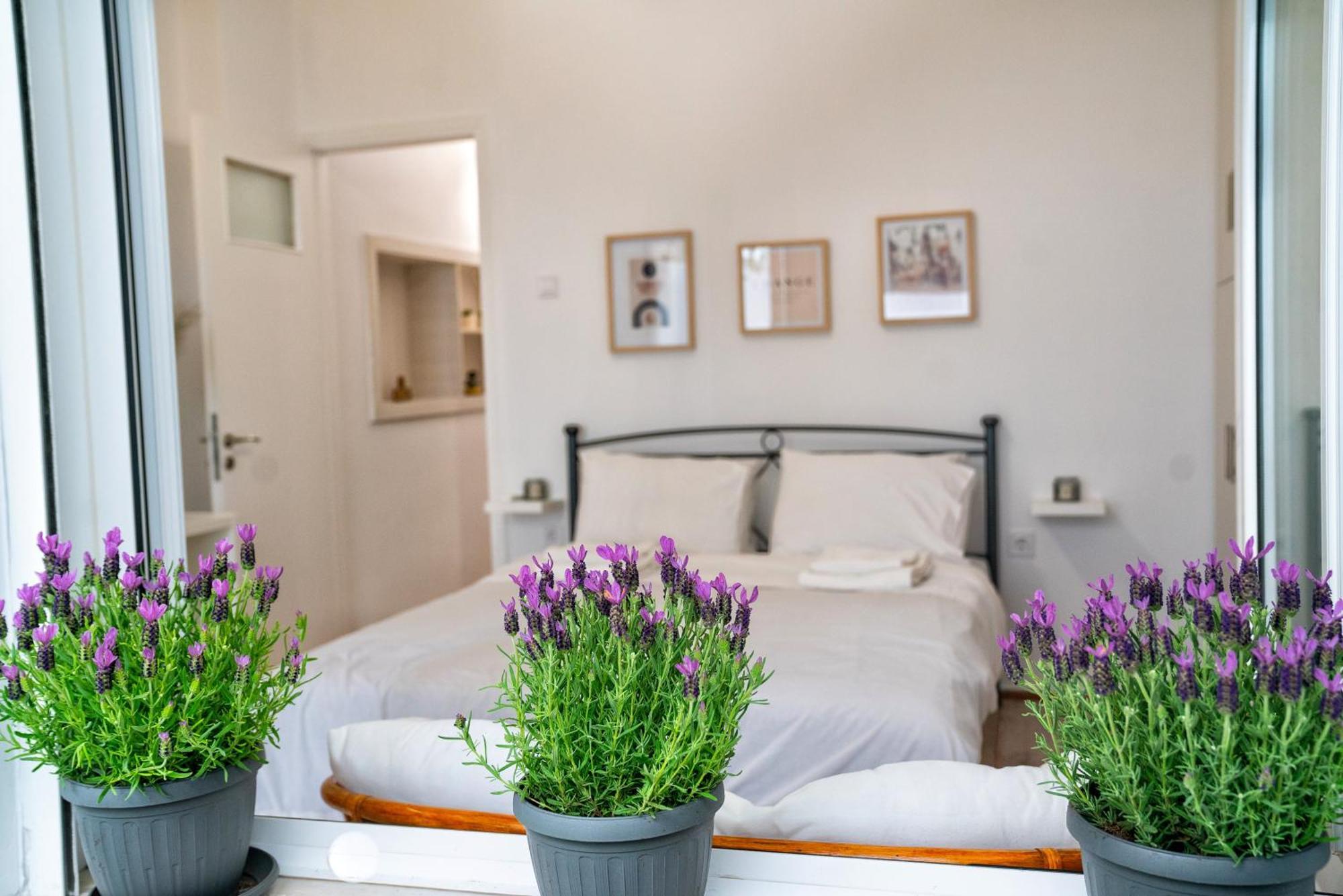 Lux Garden Apartment Near Acropolis In The Heart Of Atenas Exterior foto